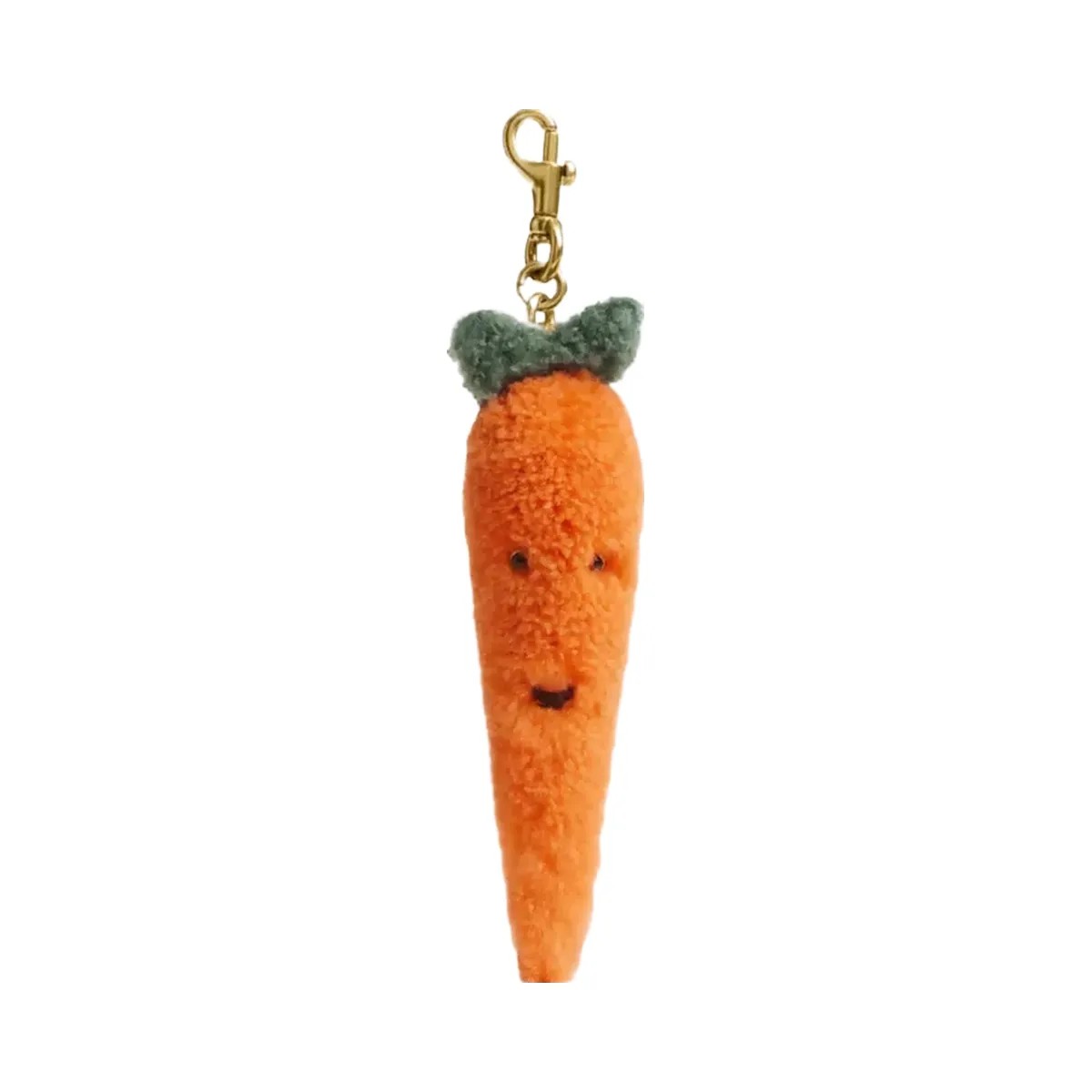 Coach Carroty Bag Charm In Shearling in Brass Multi - HypeFly India View 1