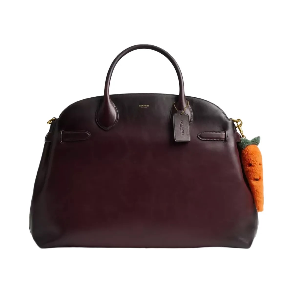 Coach Carroty Bag Charm In Shearling in Brass Multi - HypeFly India View 2