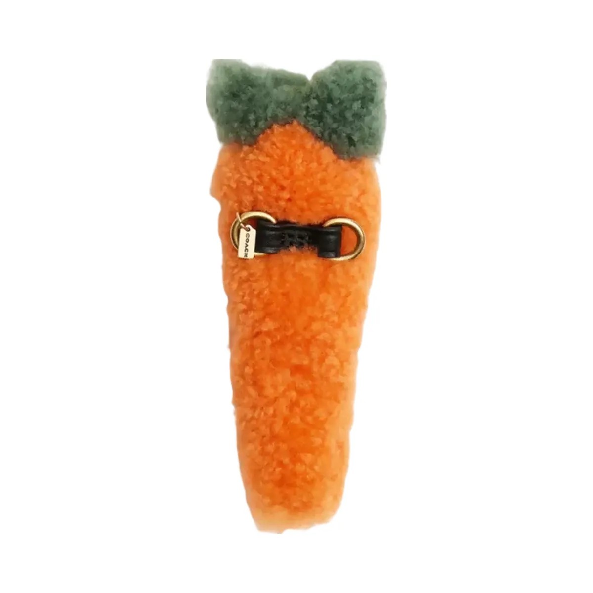 Coach Carroty Shoe Charm In Shearling in Carrot - HypeFly India View 2