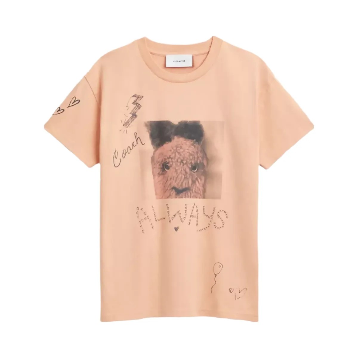 Coach Carroty Shrunken T-Shirt In Organic Cotton in Light Orange - HypeFly India View 1