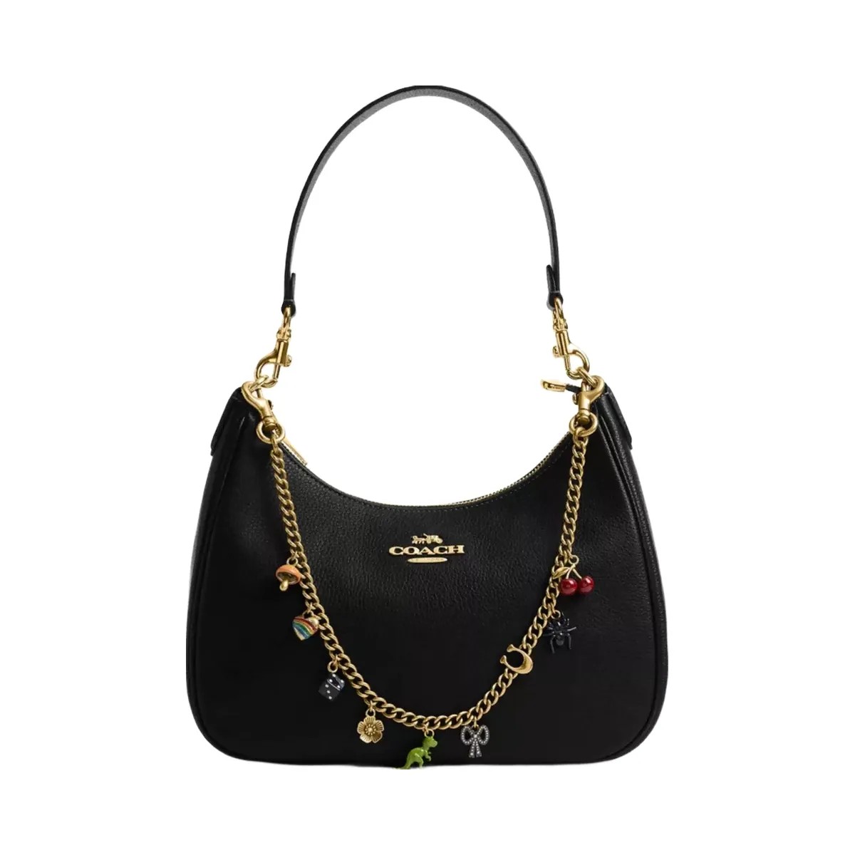 Coach Chain Strap With Charms in Brass Multi - HypeFly India View 2