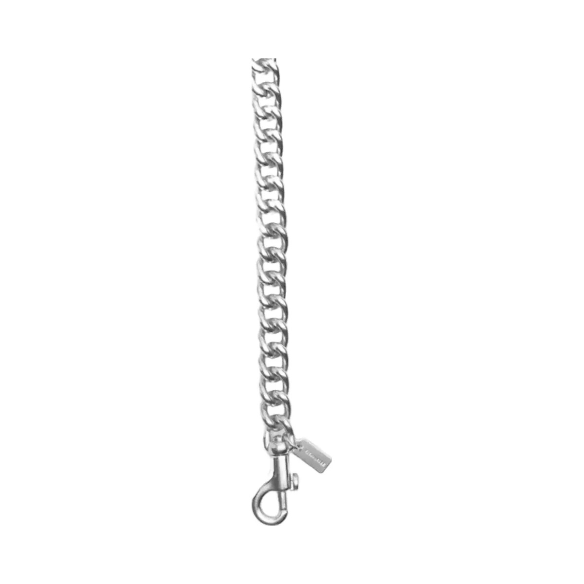 Coach Chunky Chain Shoulder Strap in Silver Silver - HypeFly India View 1