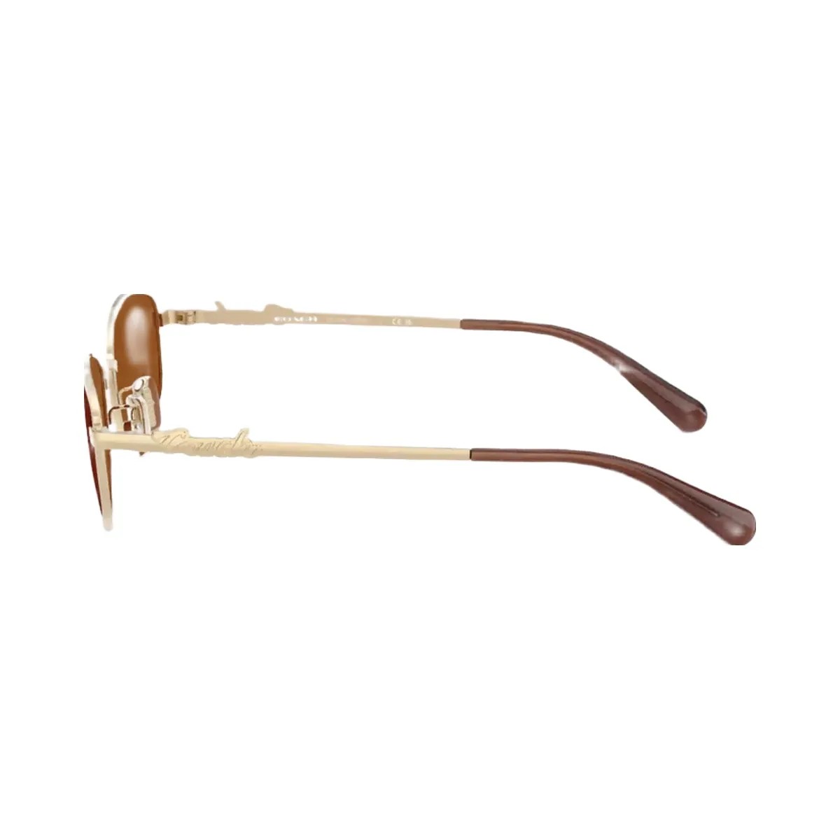 Coach Coach Script Metal Narrow Rectangle Sunglasses in Brown Gold - HypeFly India View 3