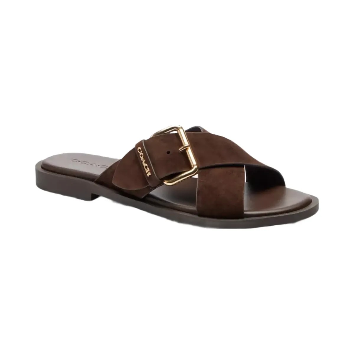 Coach Crisscross Buckle Sandal in Chocolate Brown - HypeFly India View 1