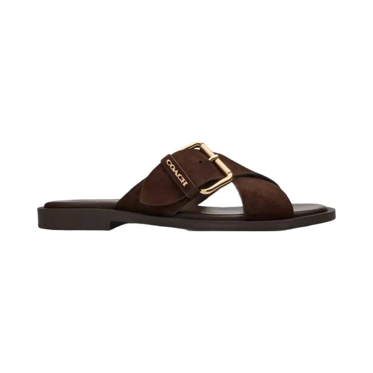 Coach Crisscross Buckle Sandal in Chocolate Brown - HypeFly India View 2