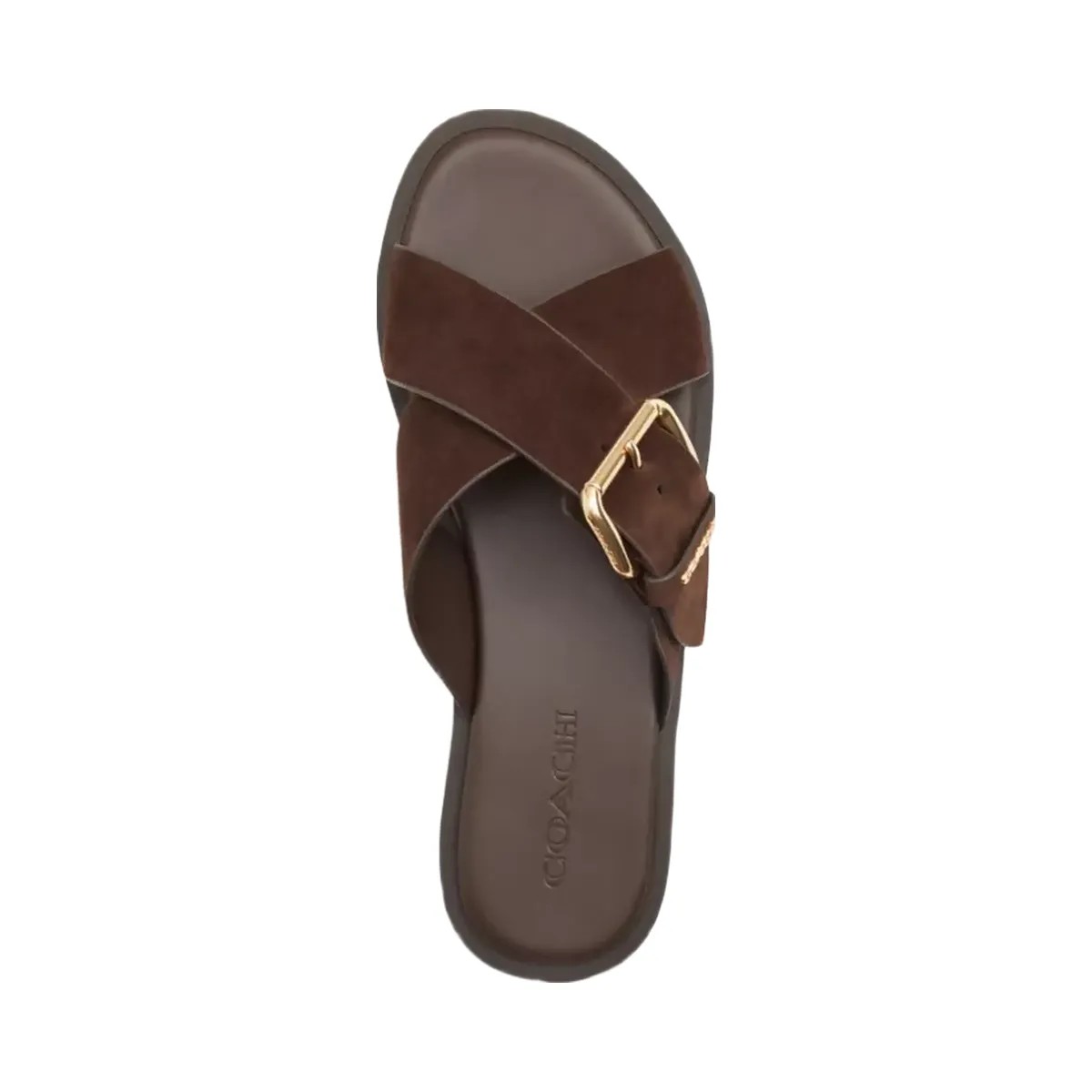 Coach Crisscross Buckle Sandal in Chocolate Brown - HypeFly India View 3