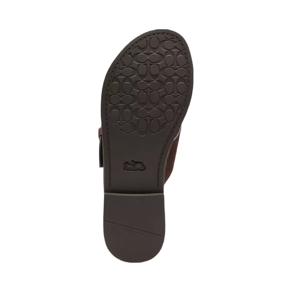 Coach Crisscross Buckle Sandal in Chocolate Brown - HypeFly India View 5