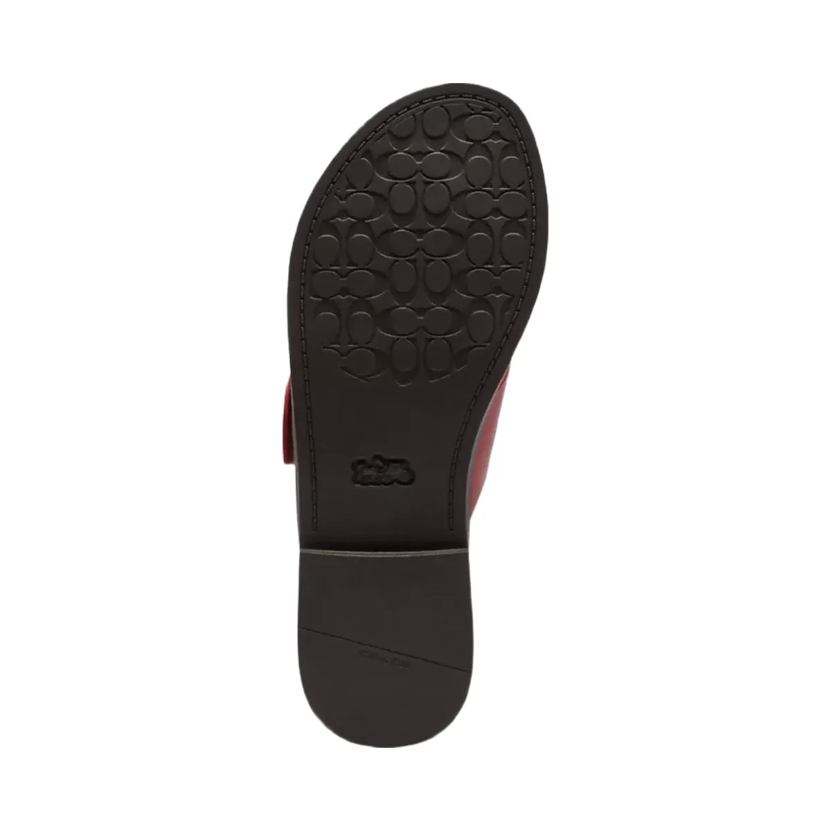 Coach Crisscross Buckle Sandal in Poppy - HypeFly India View 5