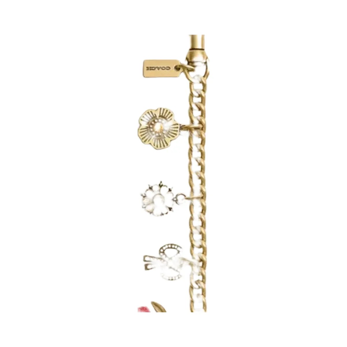 Coach Crystal Motif Chain Bag Charm in Brass Multi - HypeFly India View 1
