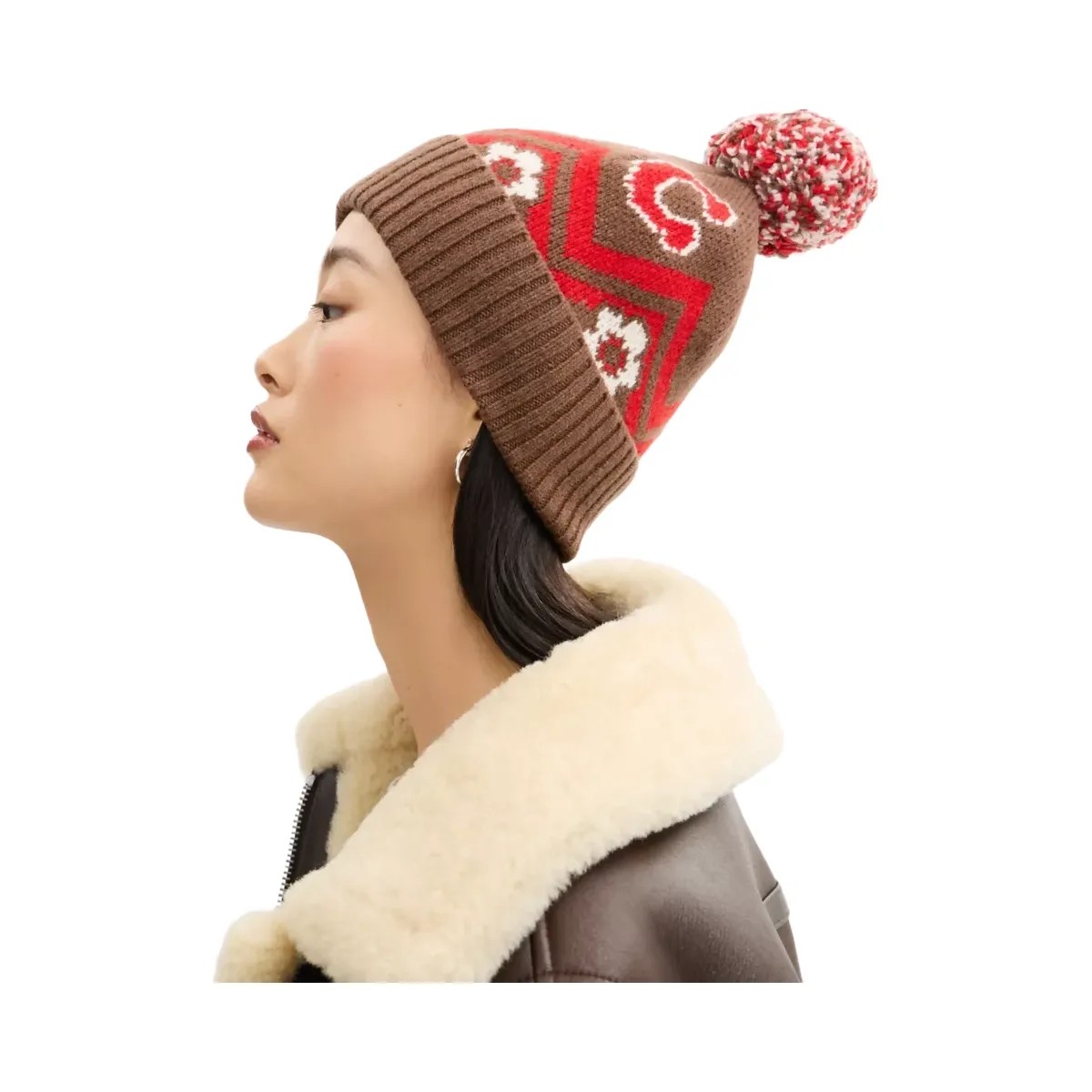 Coach Fair Isle Print Knit Beanie in Sable Multi - HypeFly India View 2