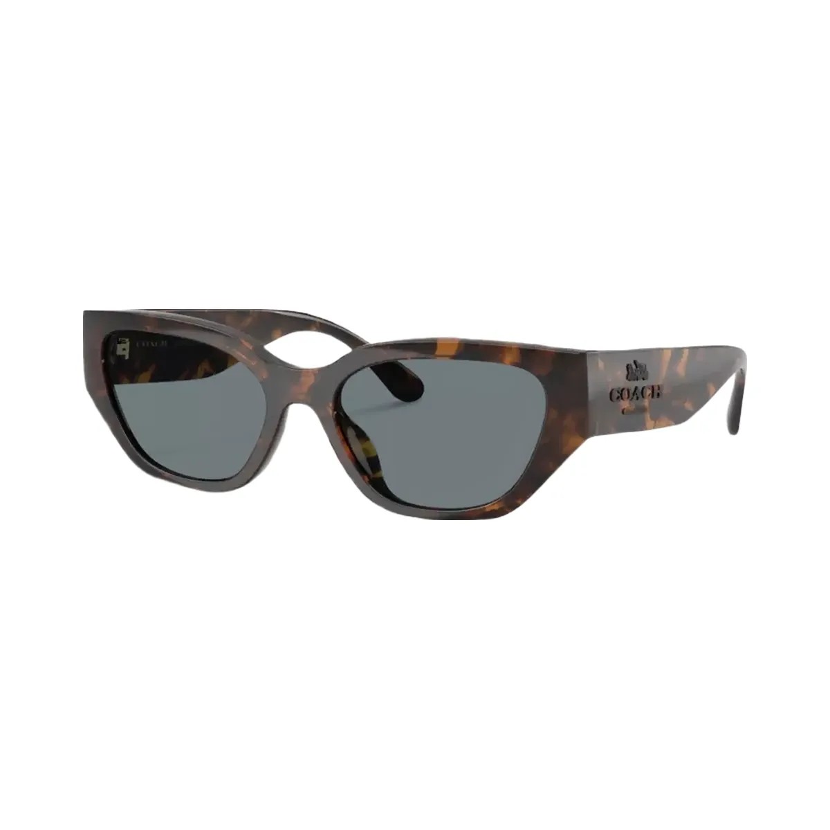Coach Geometric Cat Eye Sunglasses in Dark Tortoise - HypeFly India View 1