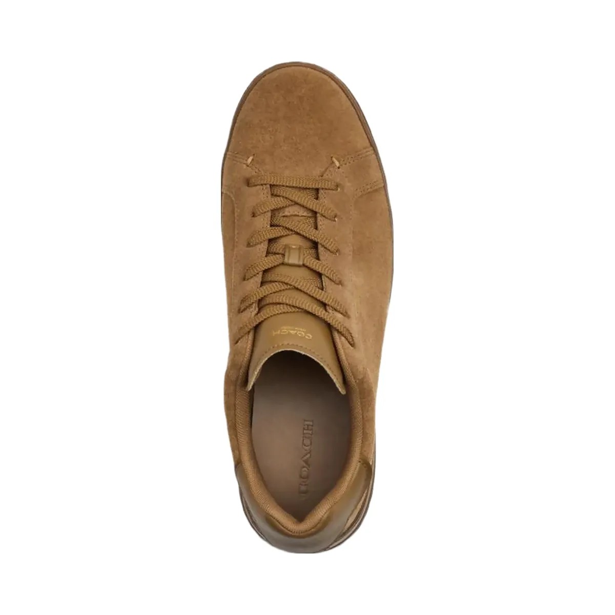 Coach Men's High Line Sneaker Coconut - HypeFly India View 3