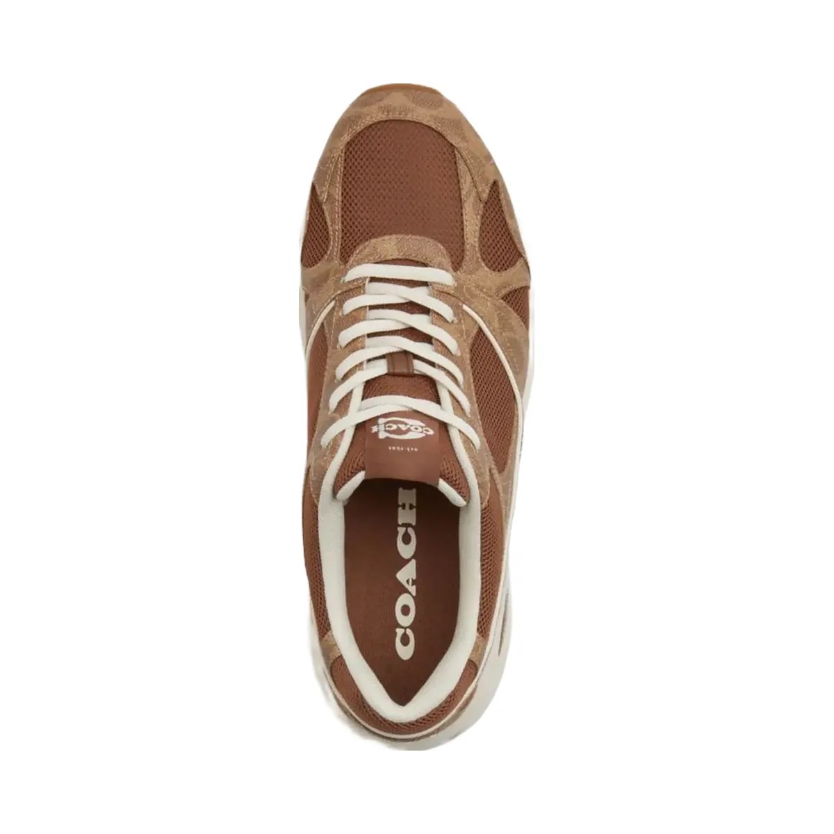 Coach Men's Sport Sneaker In Signature Canvas Sable Multi - HypeFly India View 3