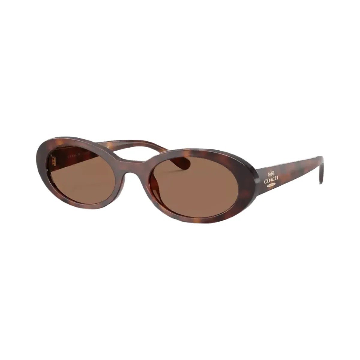 Coach Narrow Oval Sunglasses in Dark Tortoise - HypeFly India View 1
