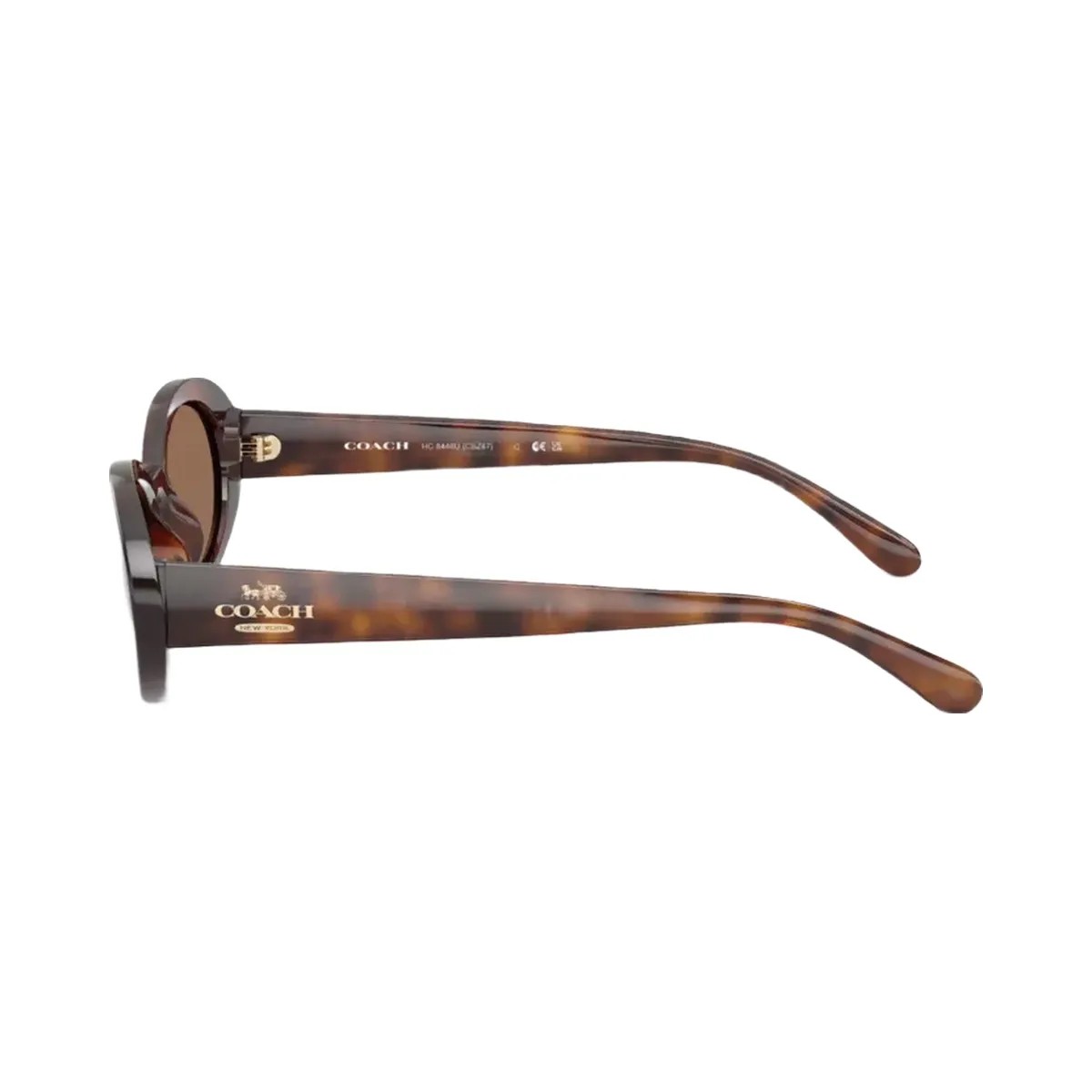Coach Narrow Oval Sunglasses in Dark Tortoise - HypeFly India View 3