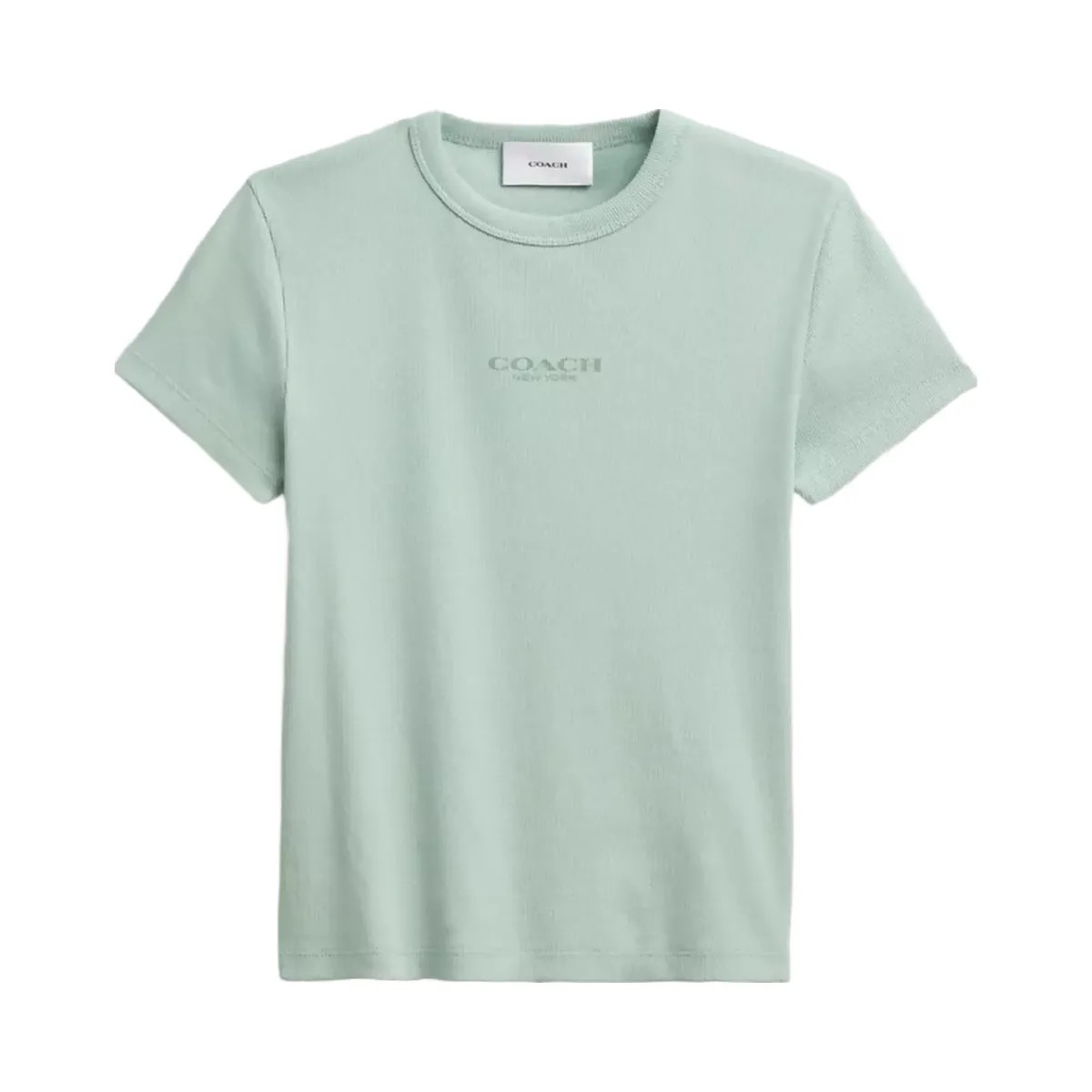 Coach New York Ribbed T-Shirt in Mint - HypeFly India View 1