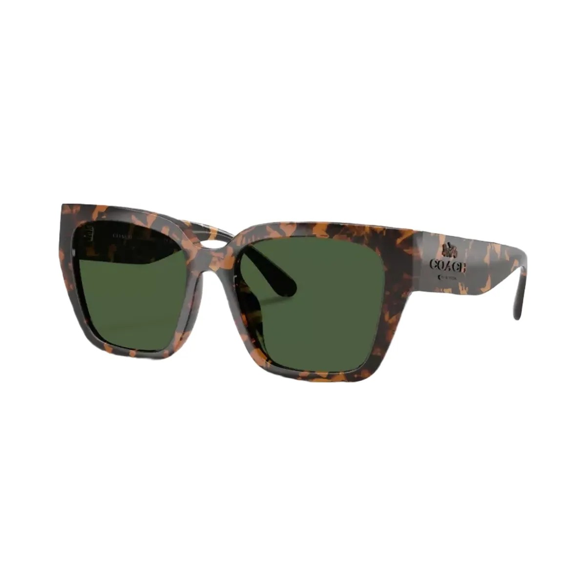 Coach Oversized Cat Eye Sunglasses in Dark Tortoise - HypeFly India View 1