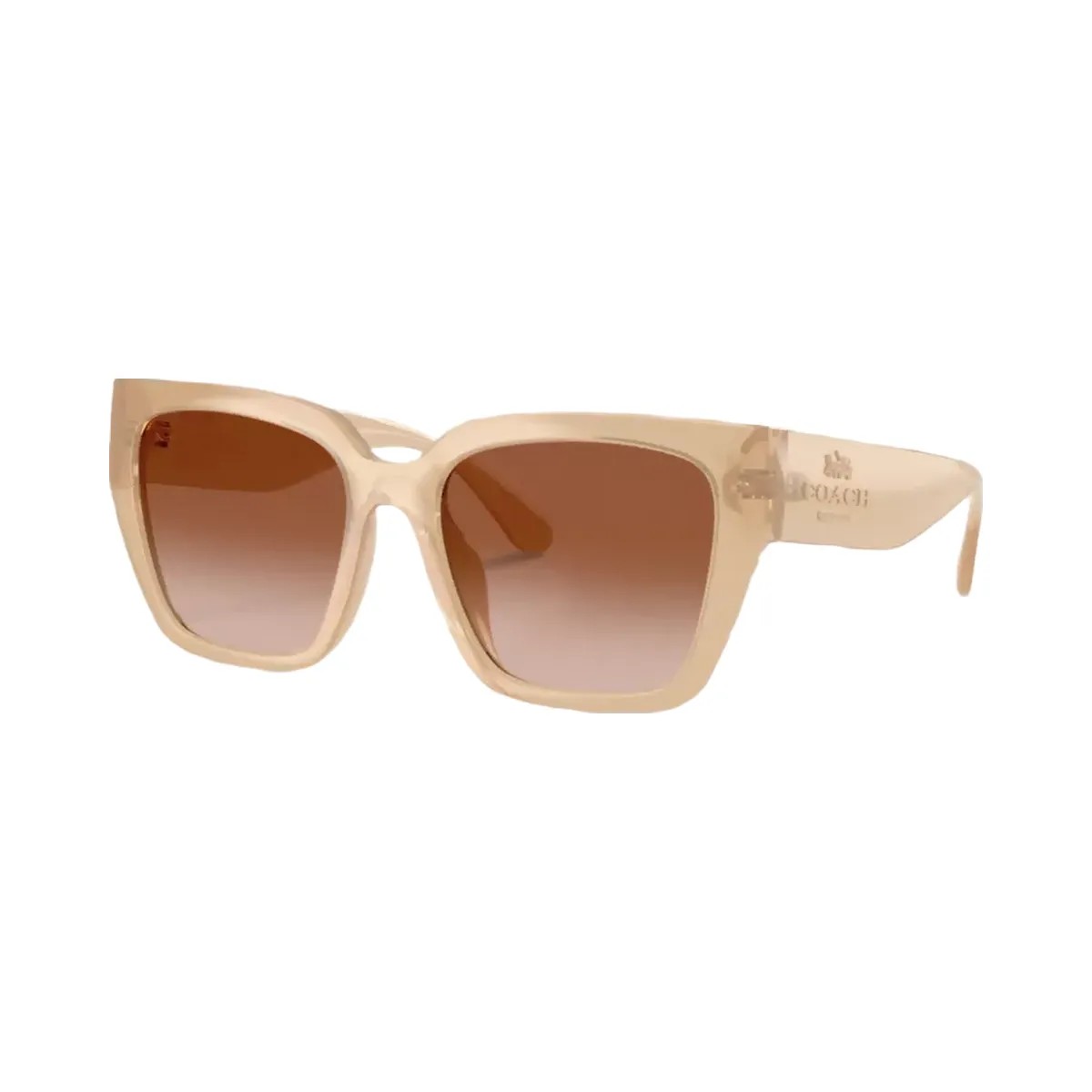Coach Oversized Cat Eye Sunglasses in Milky Beige - HypeFly India View 1