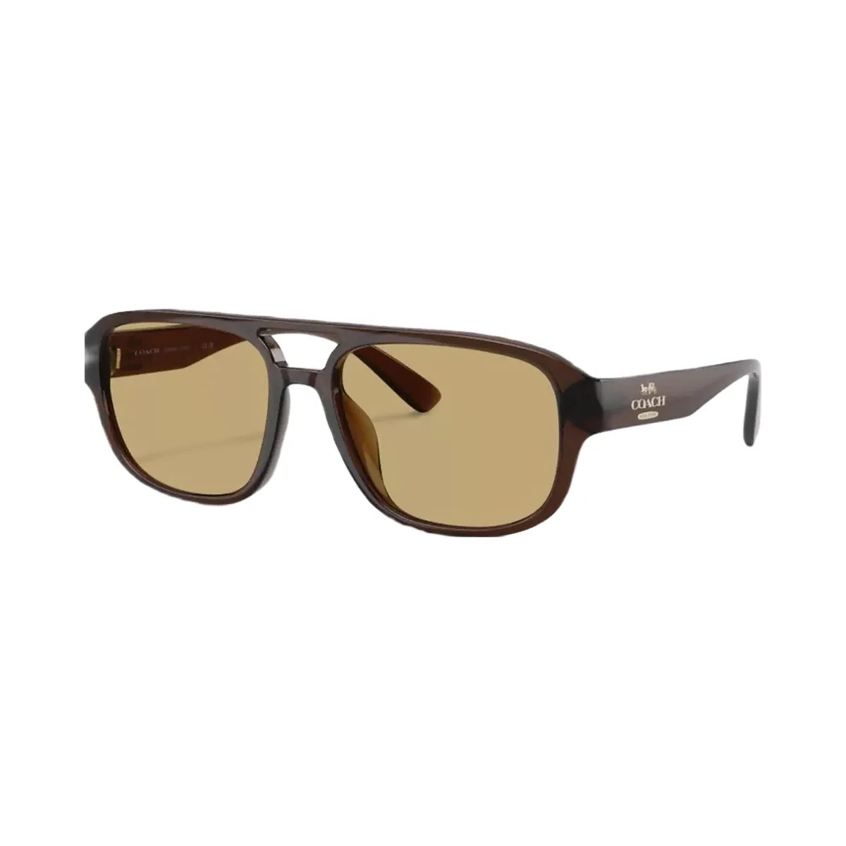 Coach Pilot Sunglasses in Transparent Brown - HypeFly India View 1