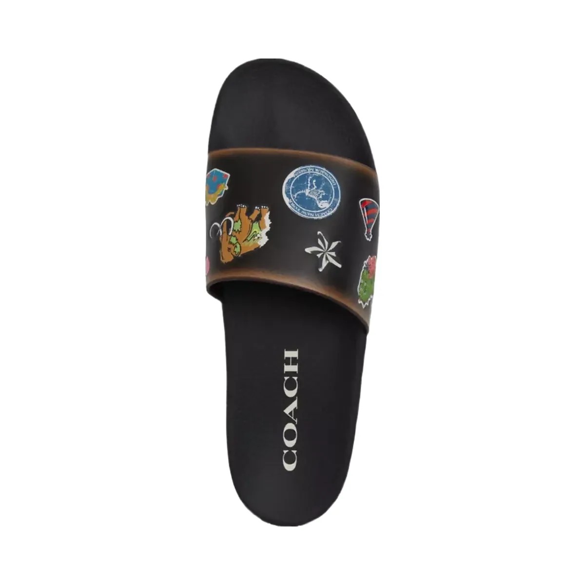 Coach Rexy 10th Birthday Pool Slide With Sticker Print in Black - HypeFly India View 3
