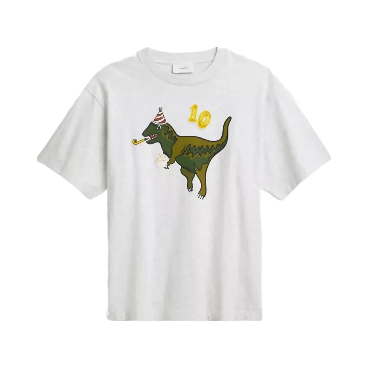 Coach Rexy 10th Birthday Relaxed T-Shirt In Organic Cotton in Heather Grey - HypeFly India View 1