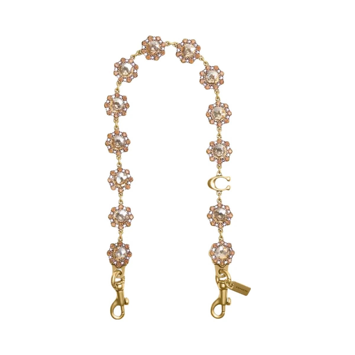 Coach Short Jewelry Chain Strap in Brass Yellow Multi - HypeFly India View 1