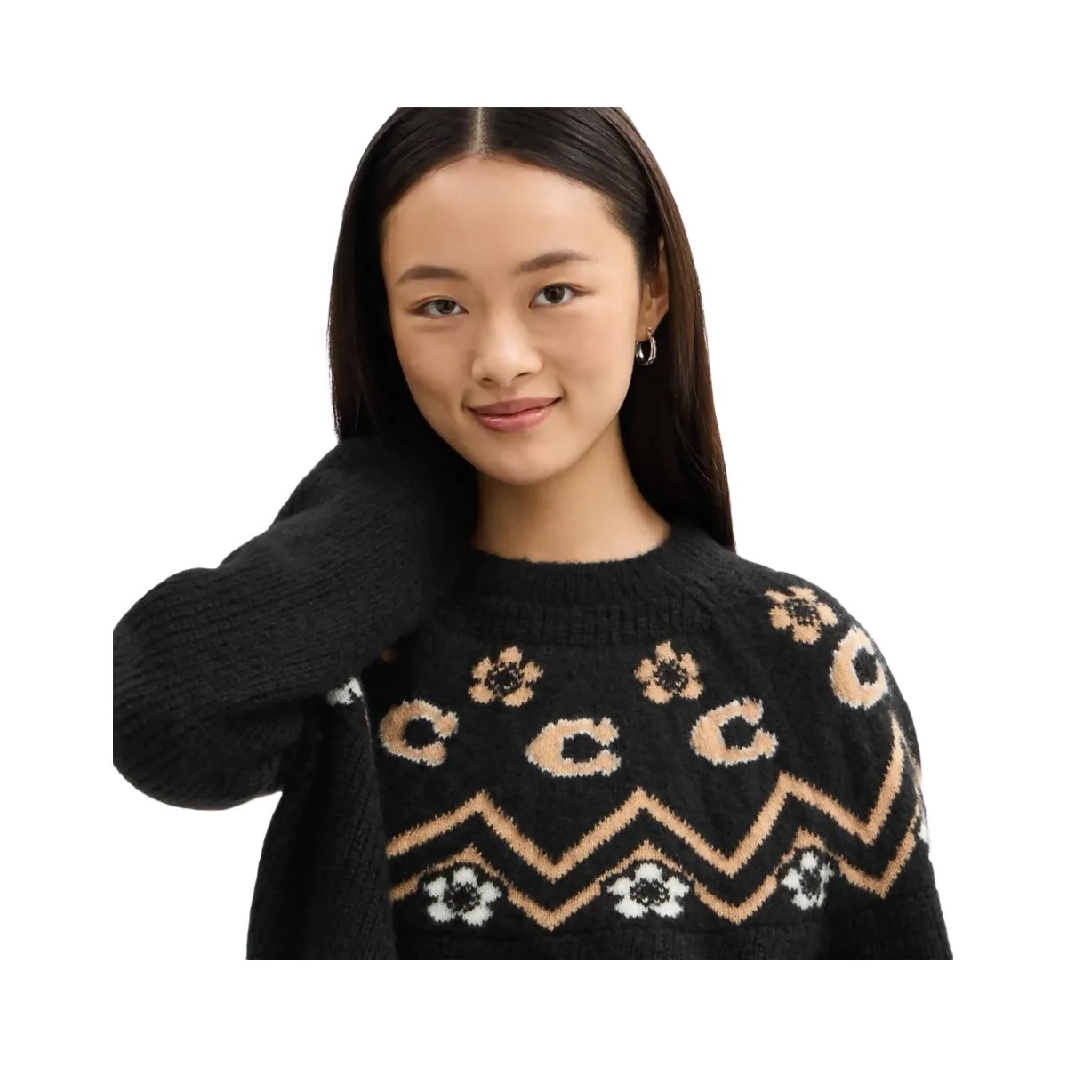 Coach Signature Fairisle Crewneck Sweater Black - HypeFly India View 4