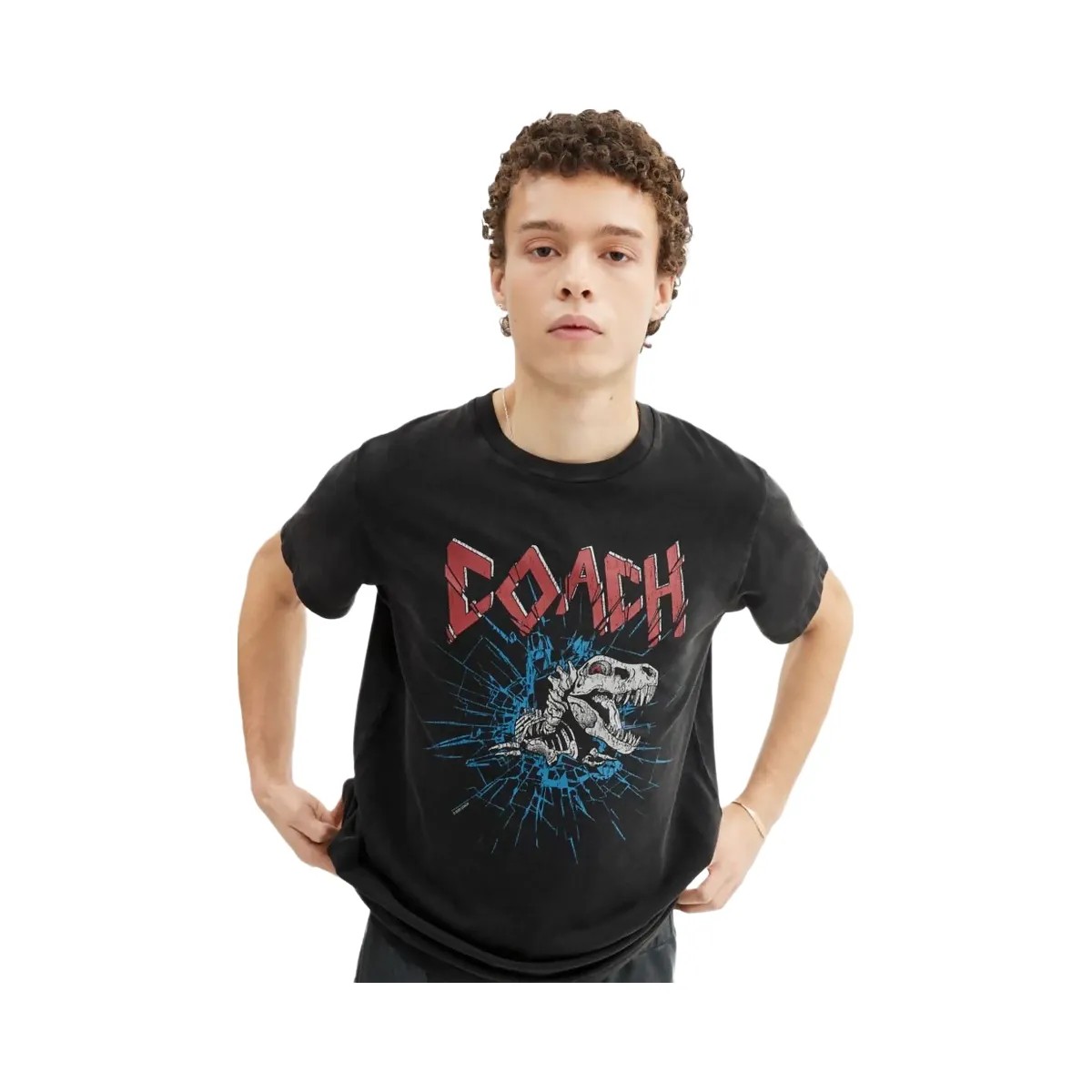 Coach Signature Skeleton Rexy T Shirt Black - HypeFly India View 6