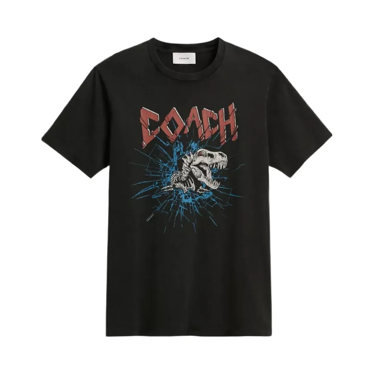 Coach Signature Skeleton Rexy T-Shirt in Black - HypeFly India View 1