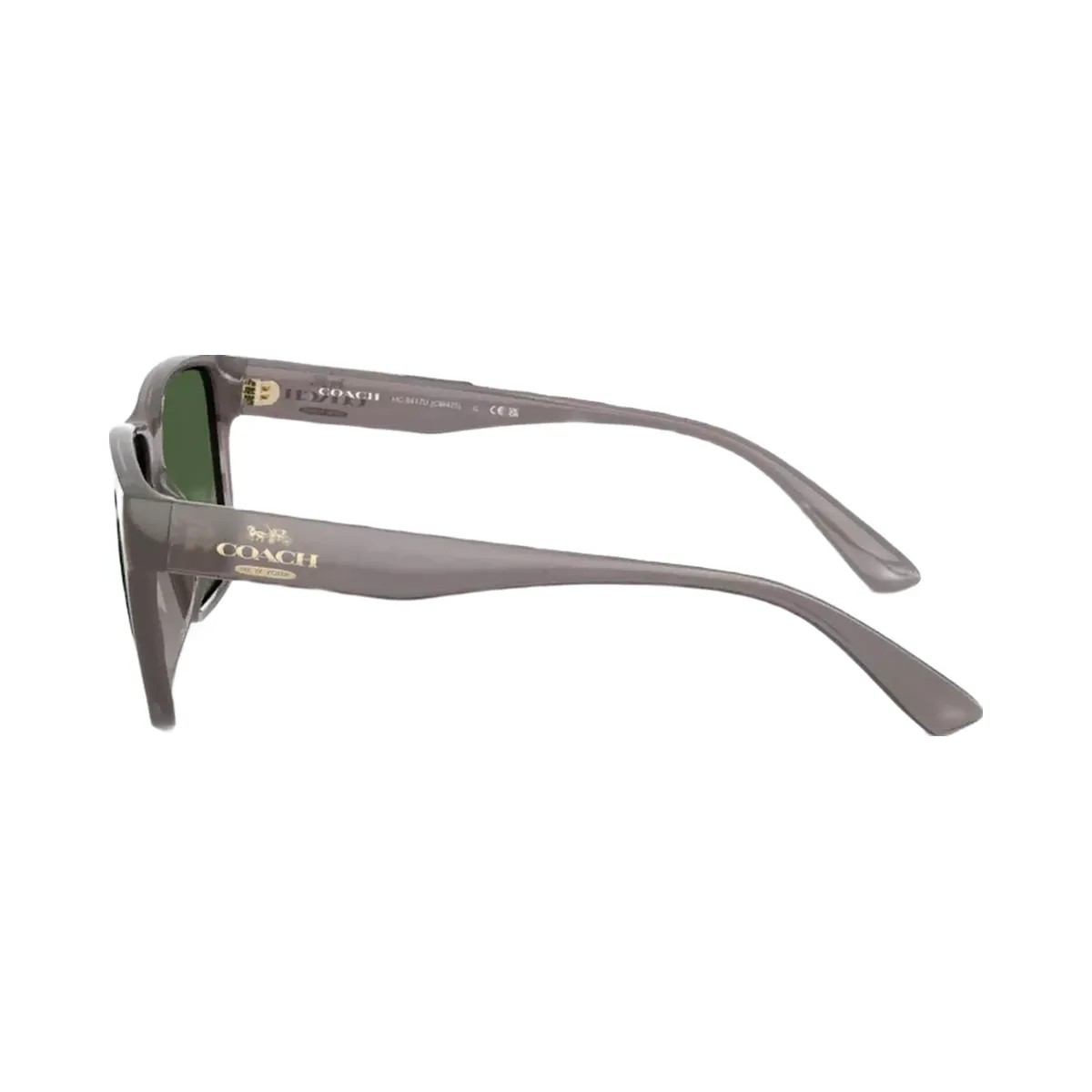 Coach Square Sunglasses in Transparent Gray - HypeFly India View 4