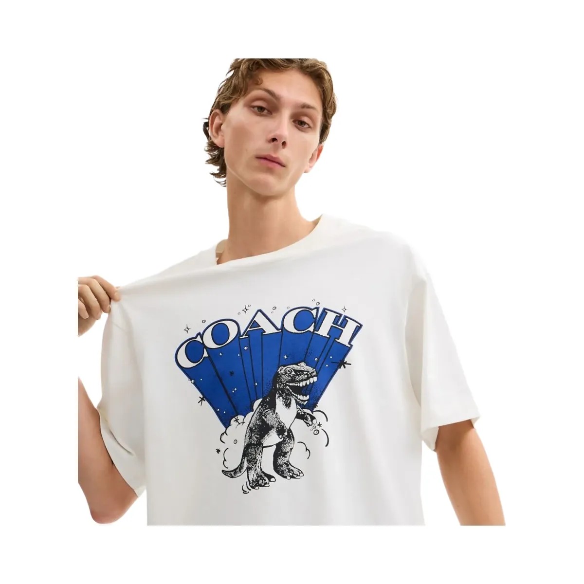 Coach T Rex Relaxed T Shirt In Organic Cotton Vintage Ivory Blue - HypeFly India View 4