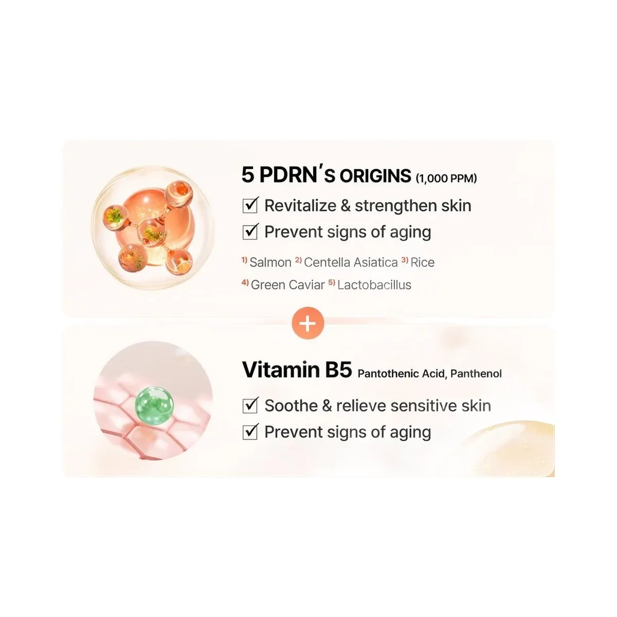 COSRX 5 PDRN B5 Vital Soothing Toner with Hyaluronic Acid & Allantoin - HypeFly India View 4