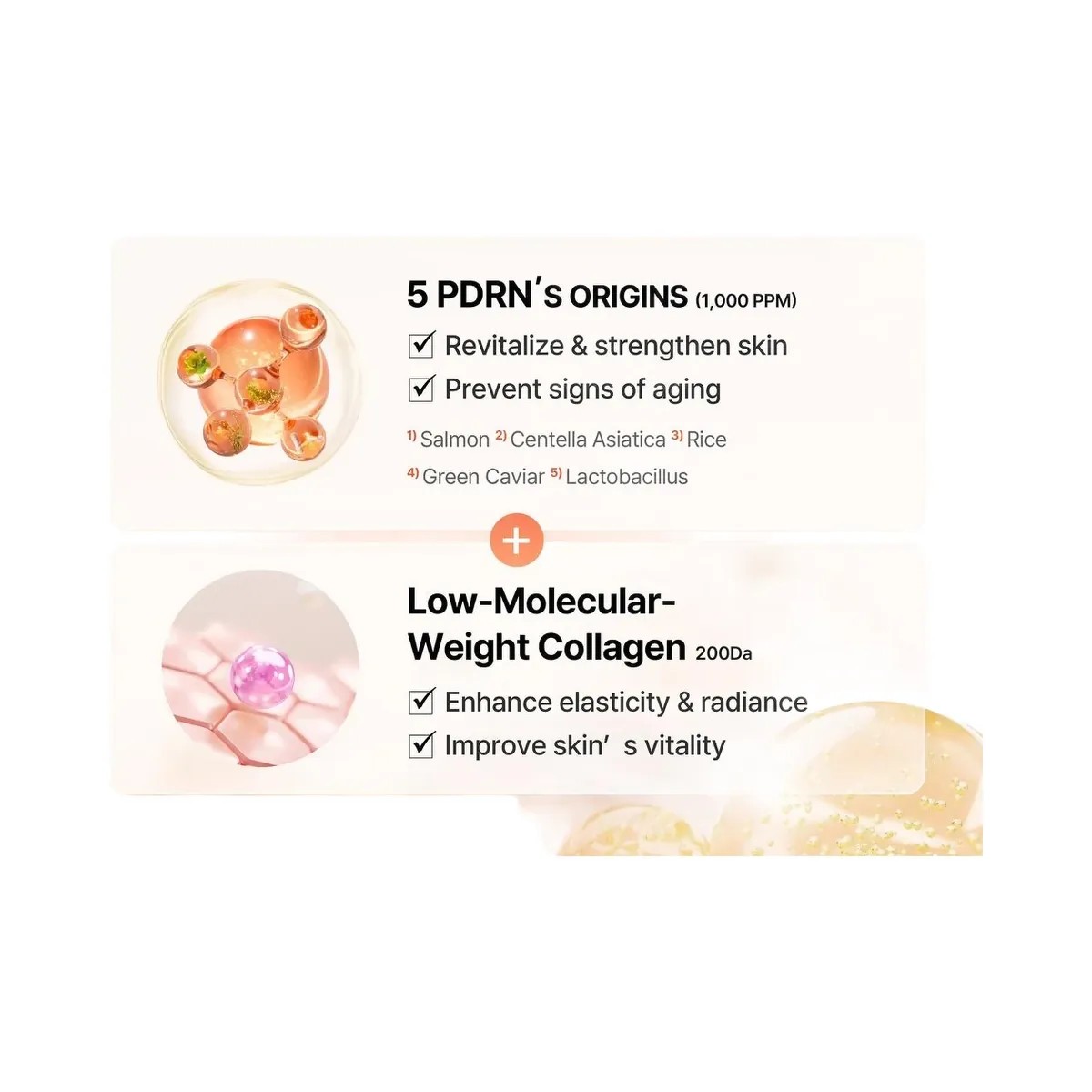 COSRX 5 PDRN Collagen Intense Vitalizing Serum with Adenosine & Niacinamide - HypeFly India View 6