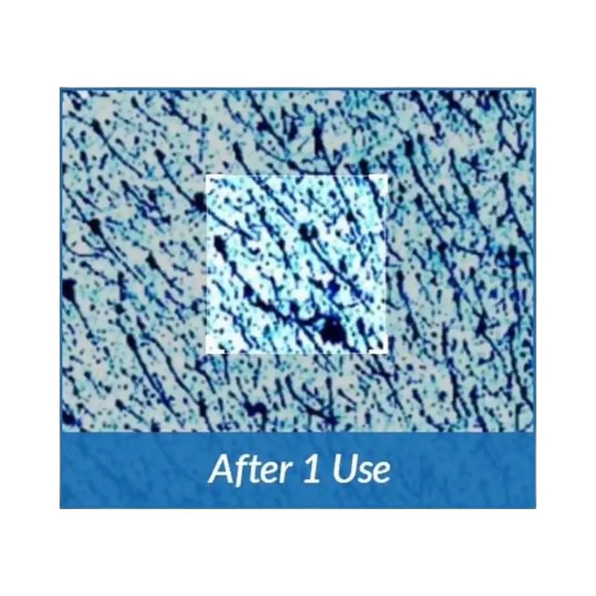 Dr. Althea Aqua Marine Watery Cream - HypeFly India View 6