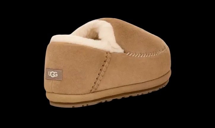 Uggs Men's Anders Chestnut - HypeFly India View 2