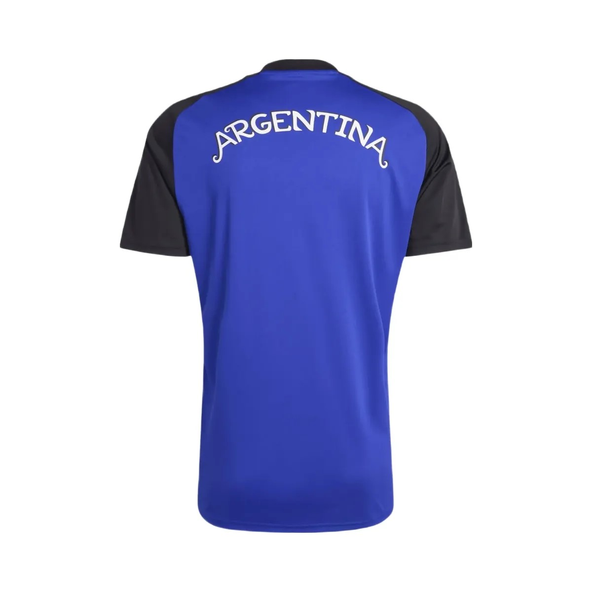 FIFA 2026 Argentina 26 Away Pre Match Jersey - Men's - HypeFly India View 2