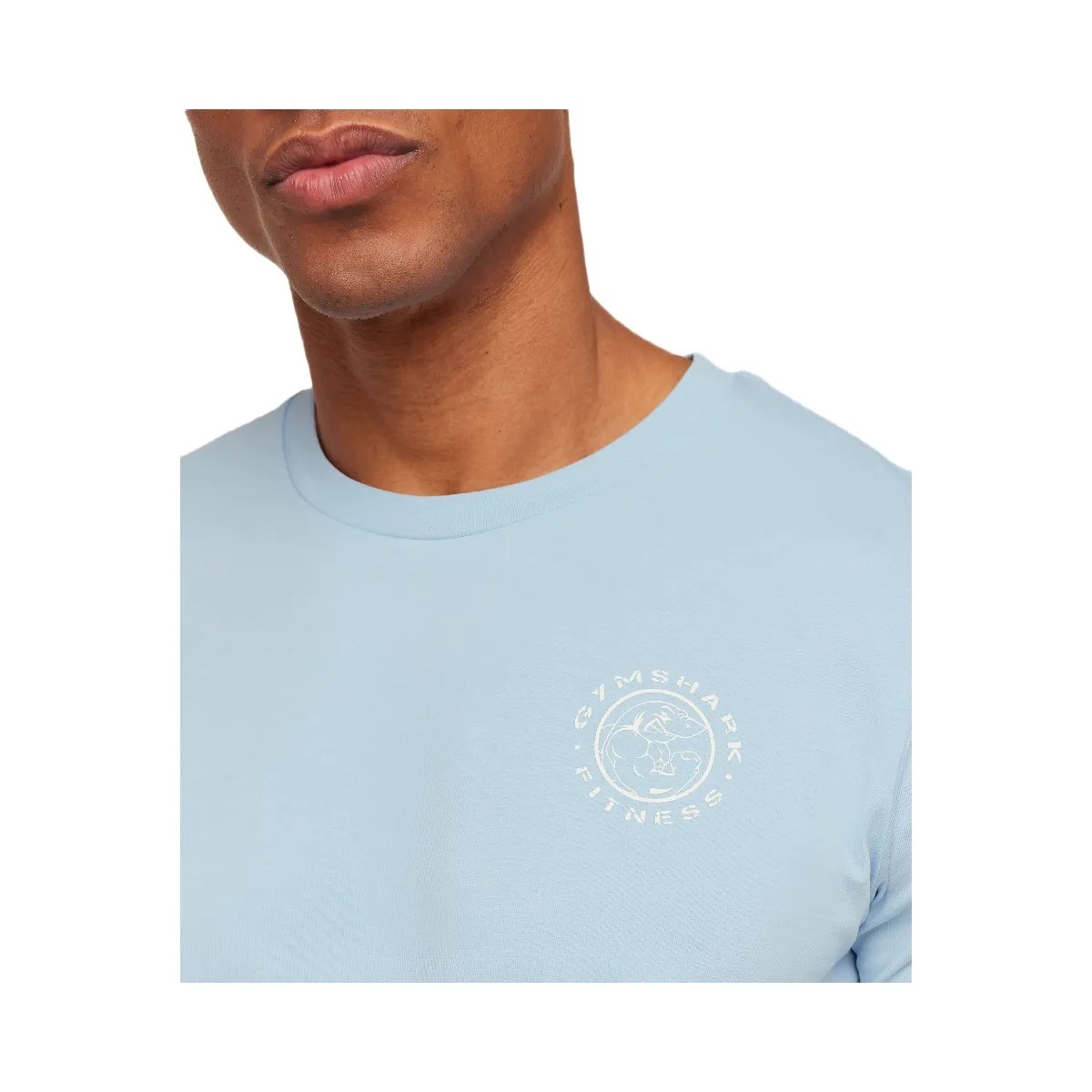 Gymshark Legacy T-Shirt "Chilled Blue" - HypeFly India View 6