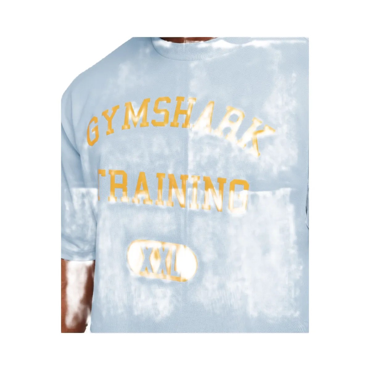 Gymshark Training Graphic T-Shirt "Chilled Blue" - HypeFly India View 5