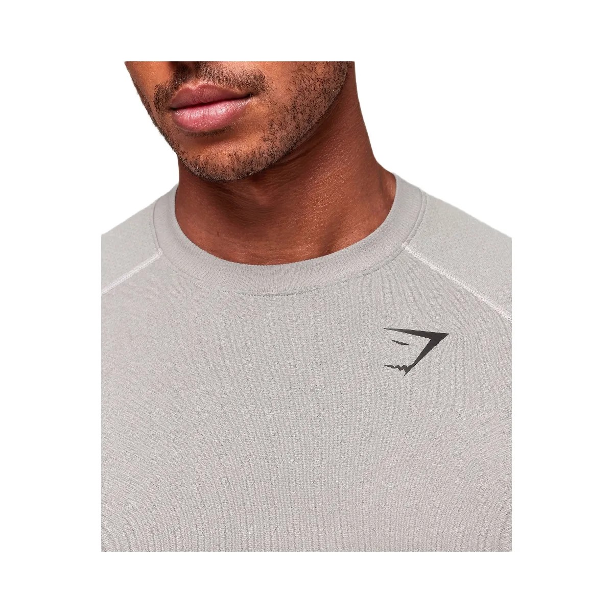 Gymshark Vital Seamless T-Shirt "Light Grey Smokey Grey" - HypeFly India View 4