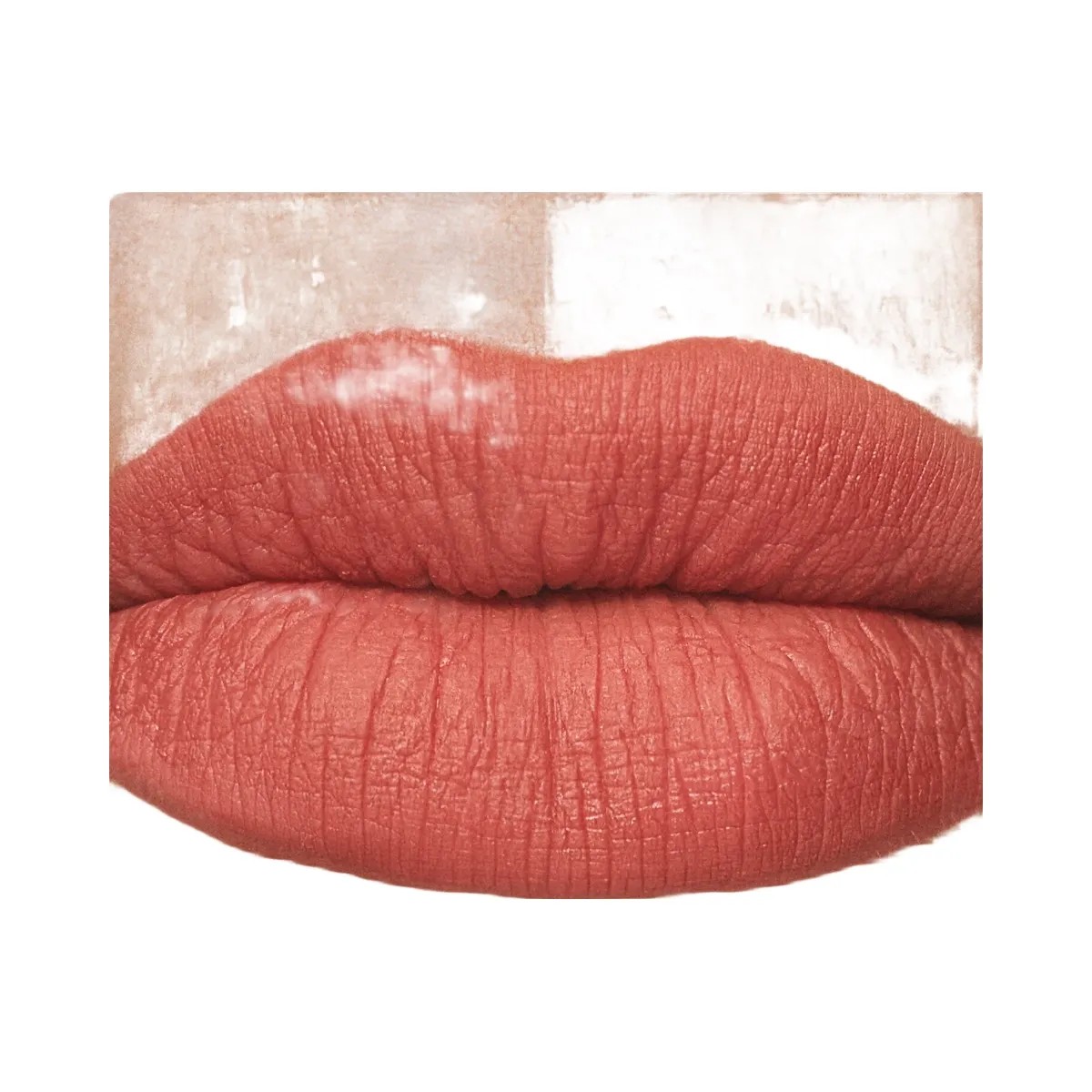 Kylie Plumping Powder Matte Lip SWarm Pink Nude - HypeFly India View 4