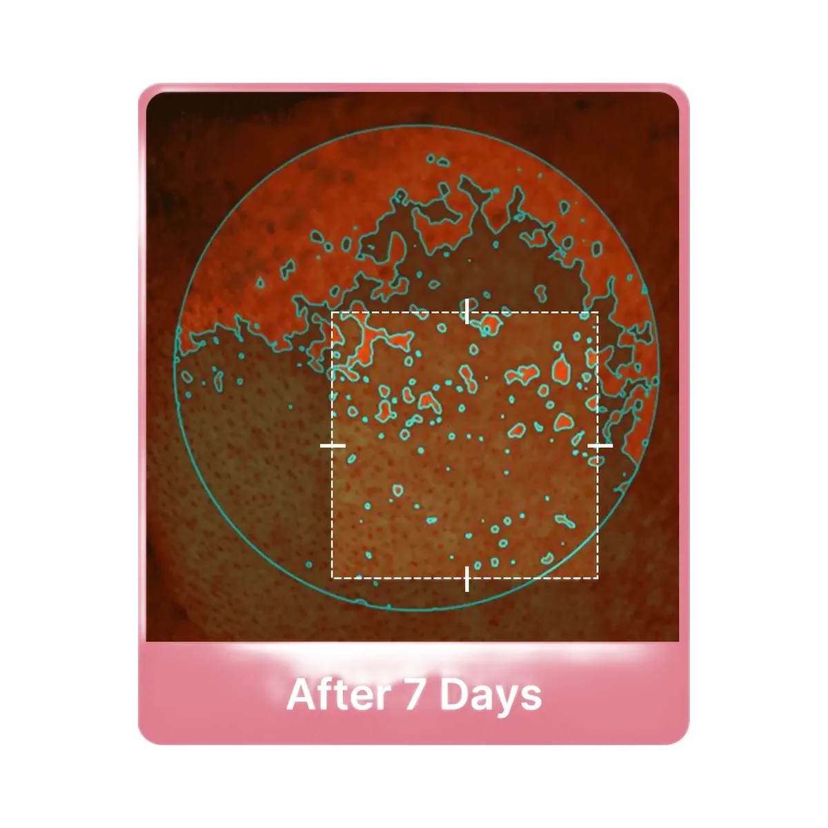 Medicube PDRN Pink Collagen Gel Toner Pad - HypeFly India View 5