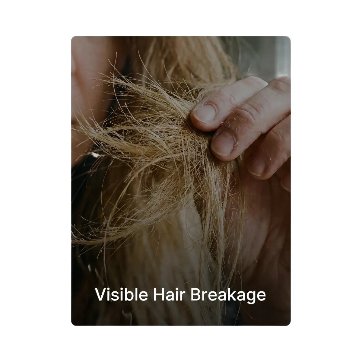 Medicube Rosemary PDRN Hair & Scalp Conditioner - HypeFly India View 3