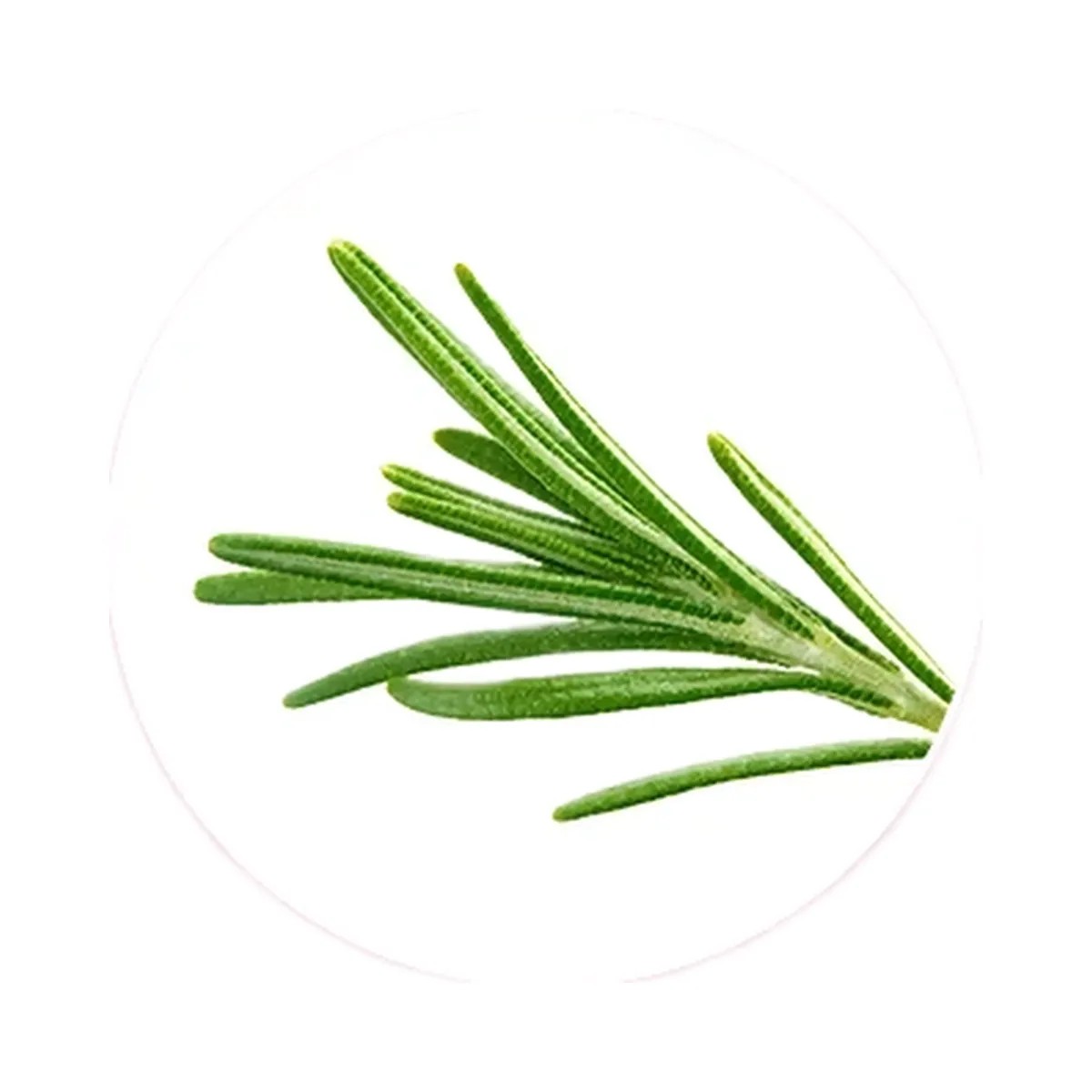 Medicube Rosemary PDRN Scalp Serum - HypeFly India View 4