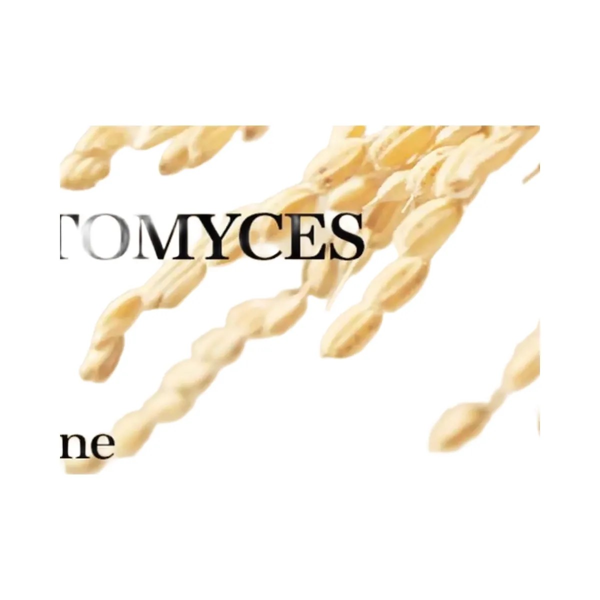 Mixsoon Galactomyces Ferment Essence - HypeFly India View 4
