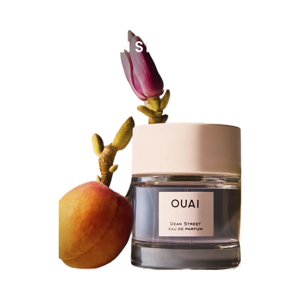 OUAI Eau de Parfum Dean Street - HypeFly India View 3
