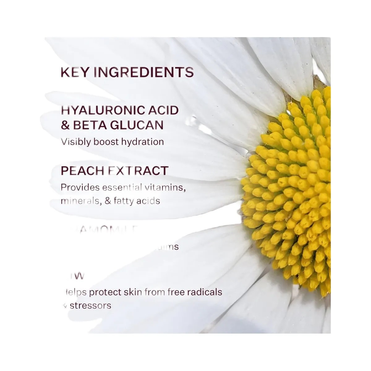 PEACH & LILY Glass Skin Water-Gel Moisturizer - HypeFly India View 6
