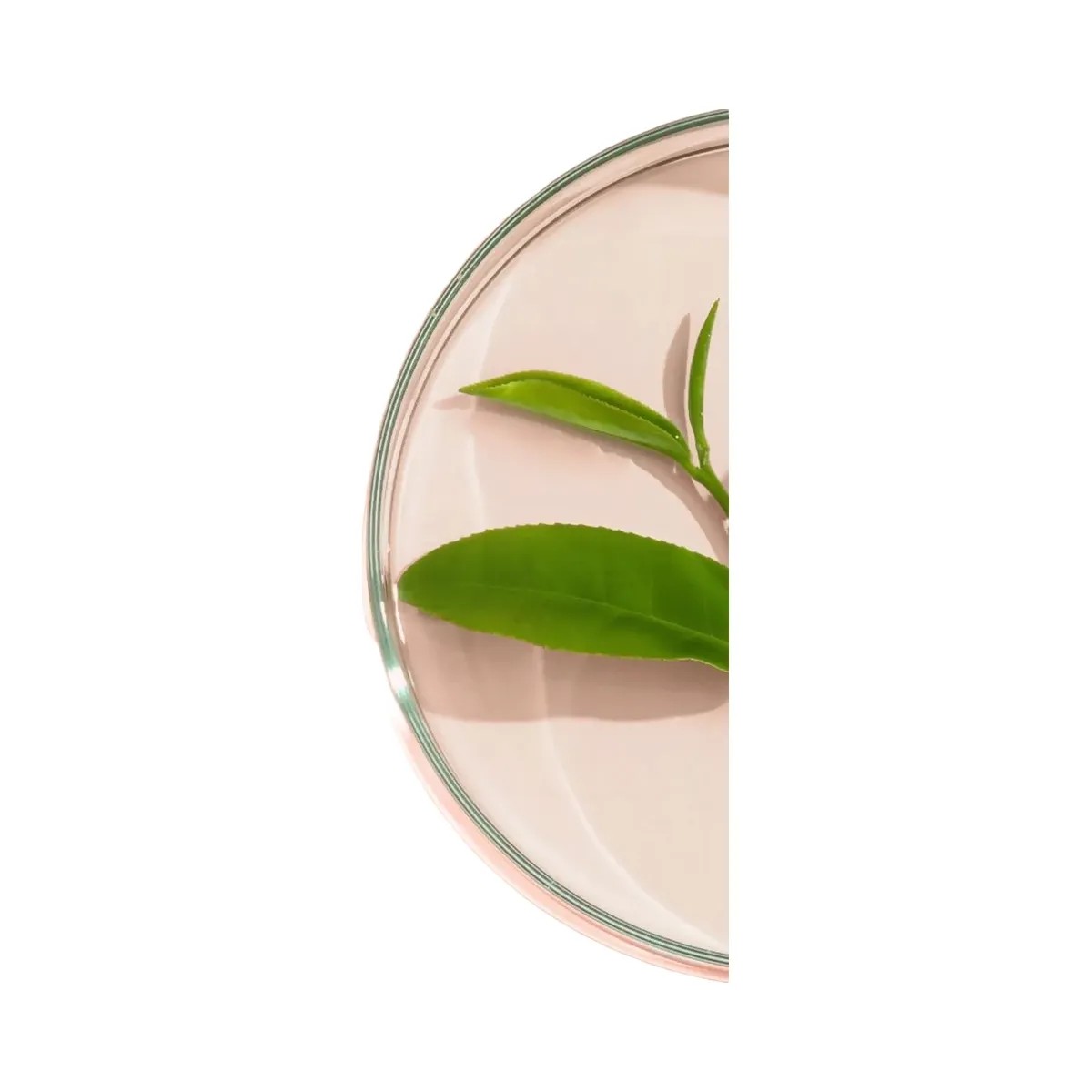 PEACH & LILY Velvet Biome Smoothing Silky Ointment - HypeFly India View 4