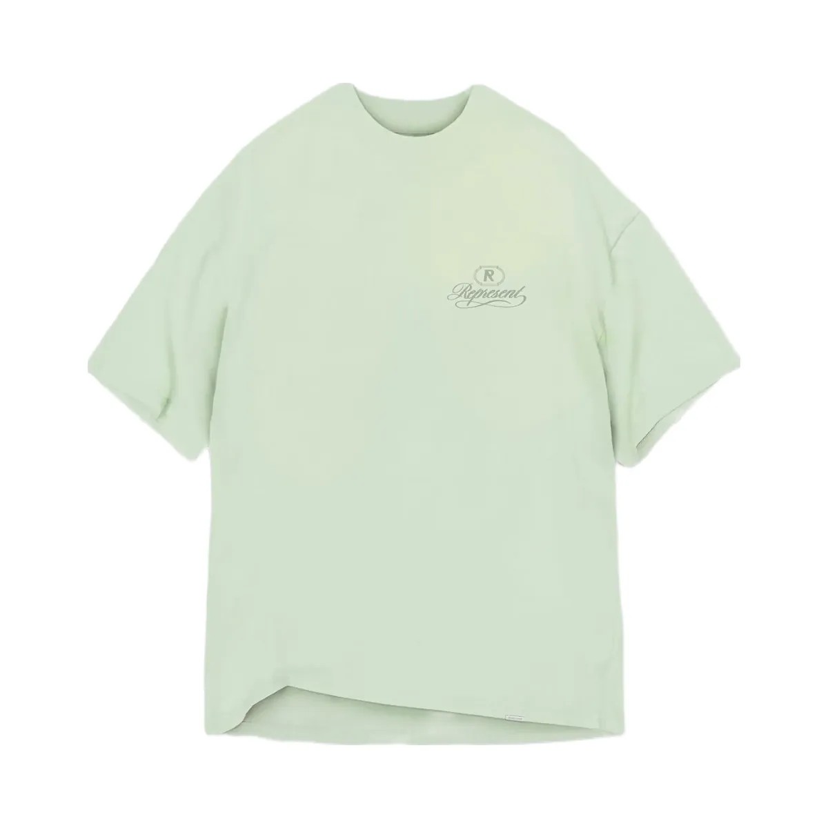 Represent Grand Vintage T Shirt Washed Sage - HypeFly India View 1