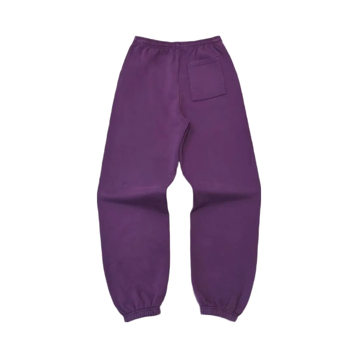 SP5DER Legacy Sweatpant Purple - HypeFly India View 2