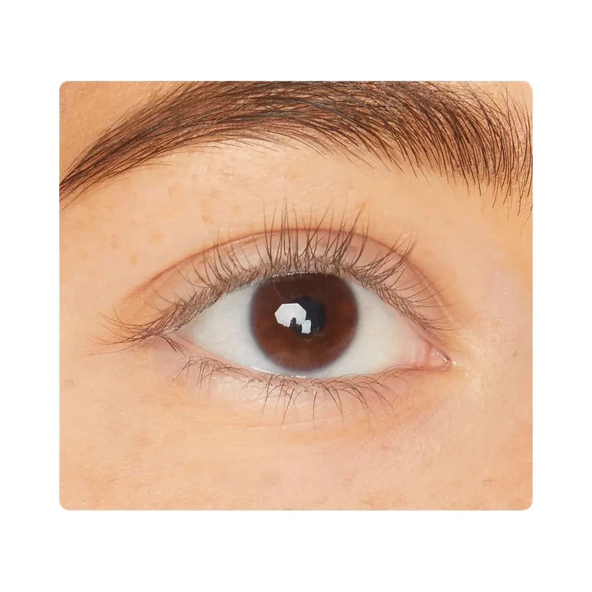 Tarte Lights Camera Lashes 4 Piece Collectors Vault - HypeFly India View 3
